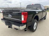 Used 2019 Ford F250 XLT w/ XLT Value Package image 4