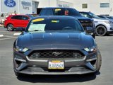 Used 2019 Ford Mustang Coupe w/ Ecoboost Performance Package image 2