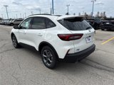 New 2025 Ford Escape ST-Line w/ Cold Weather Package image 6