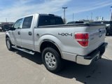 Used 2014 Ford F150 XLT w/ Equipment Group 302A Luxury image 6