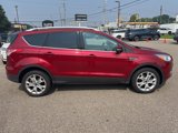 Used 2016 Ford Escape Titanium image 5