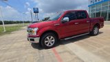 Used 2019 Ford F150 XLT w/ Equipment Group 302A Luxury image 4