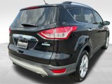 Used 2015 Ford Escape SE w/ SE Chrome Package image 5