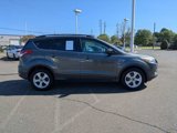 Used 2015 Ford Escape SE w/ Equipment Group 201A image 5