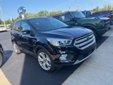 Used 2019 Ford Escape Titanium image 4