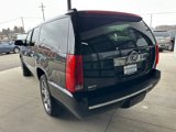 Used 2011 Cadillac Escalade ESV Premium image 5