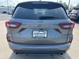 Used 2024 Ford Escape ST-Line w/ Cold Weather Package image 5