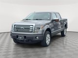 Used 2013 Ford F150 Platinum image 2