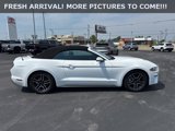 Used 2023 Ford Mustang Premium w/ Equipment Group 201A image 6