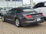 Used 2019 Ford Mustang Convertible image 5