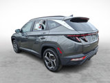 Used 2023 Hyundai Tucson SEL w/ Convenience Package image 3