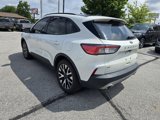 Used 2020 Ford Escape SE Sport image 5