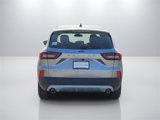 New 2024 Ford Escape Active image 5