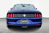 Used 2015 Ford Mustang Coupe w/ Equipment Group 051A image 4