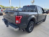Used 2015 Ford F150 XLT w/ Equipment Group 302A Luxury image 4