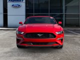Used 2023 Ford Mustang Premium image 2