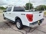 Used 2021 Ford F150 XLT w/ Equipment Group 301A Mid image 6