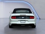 Certified 2022 Ford Mustang Premium image 5
