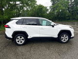 Used 2020 Toyota RAV4 XLE image 6