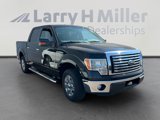 Used 2012 Ford F150 XLT w/ XLT Chrome Pkg image 4