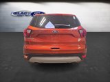 Used 2019 Ford Escape SE image 4