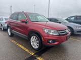 Used 2014 Volkswagen Tiguan SEL image 2