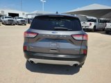 Used 2021 Ford Escape SEL image 5
