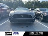 Used 2019 Ford Mustang Coupe w/ Equipment Group 101A image 2