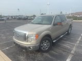 Used 2010 Ford F150 XLT image 3