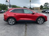 Used 2022 Ford Escape SEL image 5