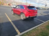 Used 2024 Cadillac XT4 Premium Luxury image 5