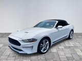 Used 2019 Ford Mustang Premium w/ Equipment Group 201A image 3