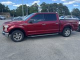 Used 2016 Ford F150 XLT w/ Equipment Group 302A Luxury image 5