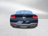 Used 2024 Ford Mustang Premium image 4