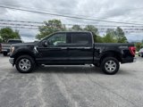 Used 2021 Ford F150 XLT w/ Equipment Group 302A High image 2