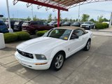 Used 2007 Ford Mustang Deluxe image 6
