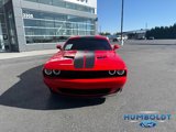 Used 2022 Dodge Challenger SXT w/ Blacktop Package image 2