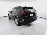 Used 2019 Toyota RAV4 XLE Premium image 2