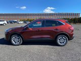 Used 2021 Ford Escape SE image 2