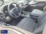 Certified 2019 Ford F150 XLT w/ Equipment Group 302A Luxury image 3