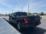 Used 2016 Ford F150 XL w/ Equipment Group 101A Mid image 5