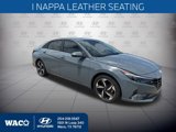 Used 2023 Hyundai Elantra Limited image 5