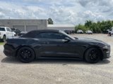 Used 2020 Ford Mustang Convertible w/ Equipment Group 101A image 2
