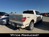 Used 2009 Ford F150 Platinum image 5