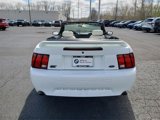 Used 2000 Ford Mustang GT image 4