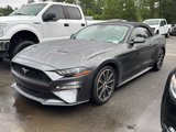 Used 2019 Ford Mustang Premium w/ Equipment Group 201A image 2