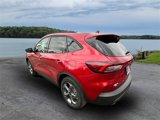 New 2025 Ford Escape ST-Line w/ Tech Pack #1 image 5
