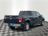 Used 2015 Ford F150 XLT image 4