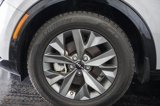 Used 2024 Kia Sportage SX image 5