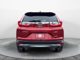 Used 2019 Honda CR-V Touring image 4